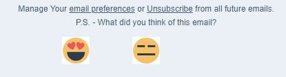 example of newsletter feedback 2