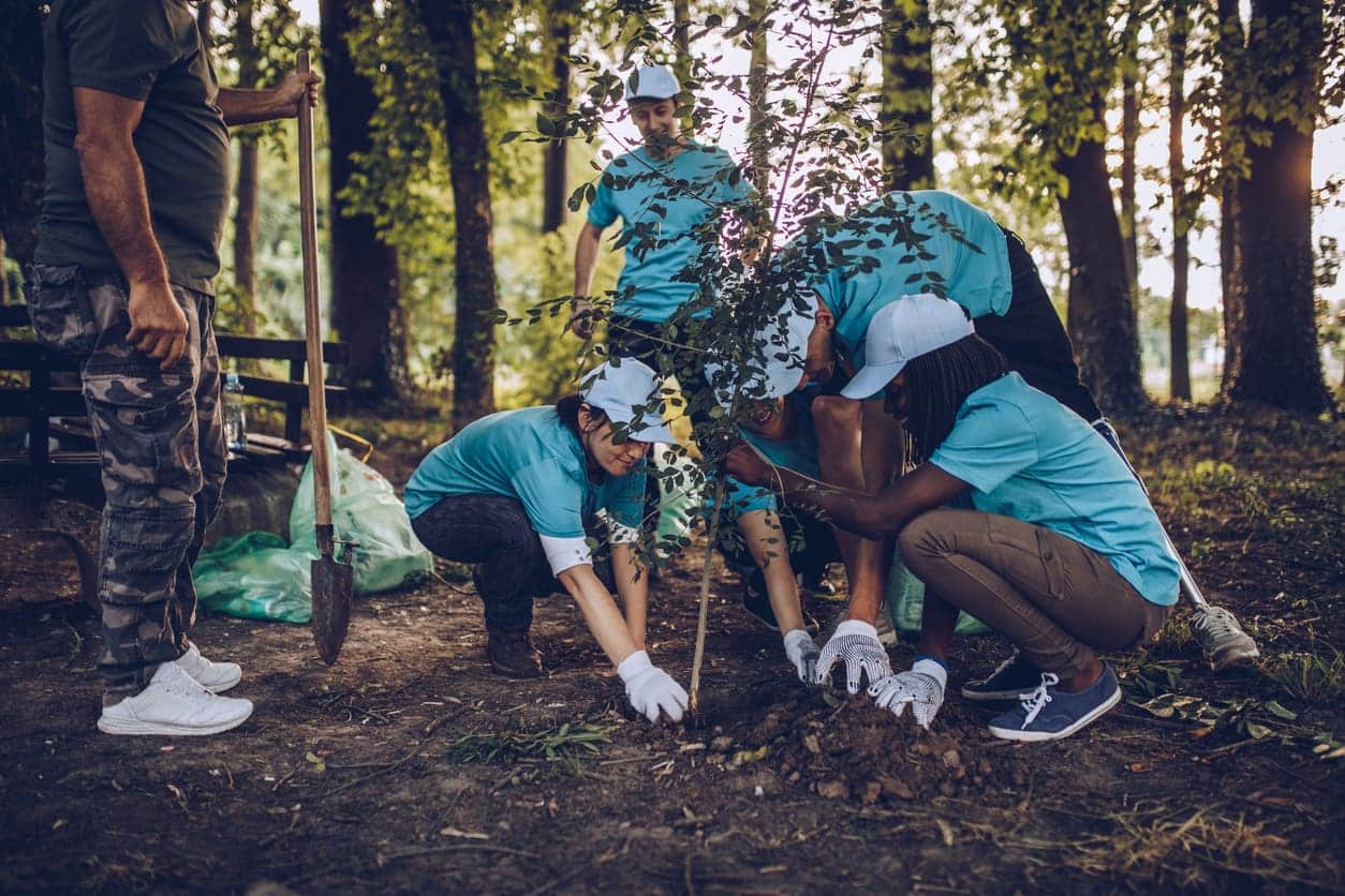 group of people planting a tree